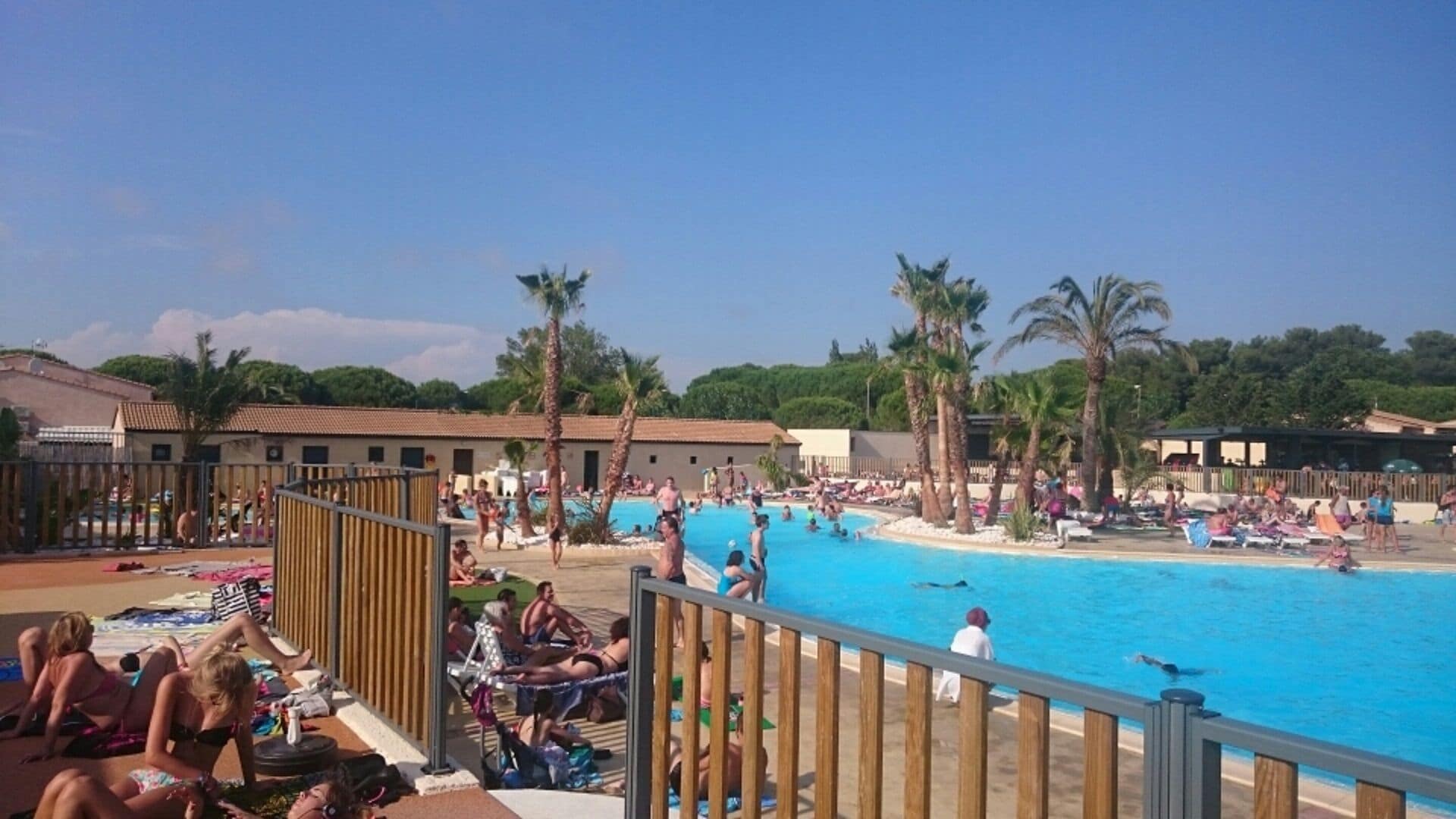 A swimming pool area with people sunbathing and swimming, surrounded by palm trees and a wooden fence.