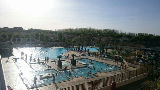 Une grande piscine extérieure dotée de plusieurs couloirs, entourée d’une clôture et ombragée par des palmiers.