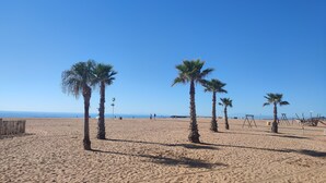 Une plage de sable bordée de palmiers, sous un ciel bleu et dégagé.