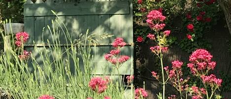 A garden with a wooden fence and pink flowers.