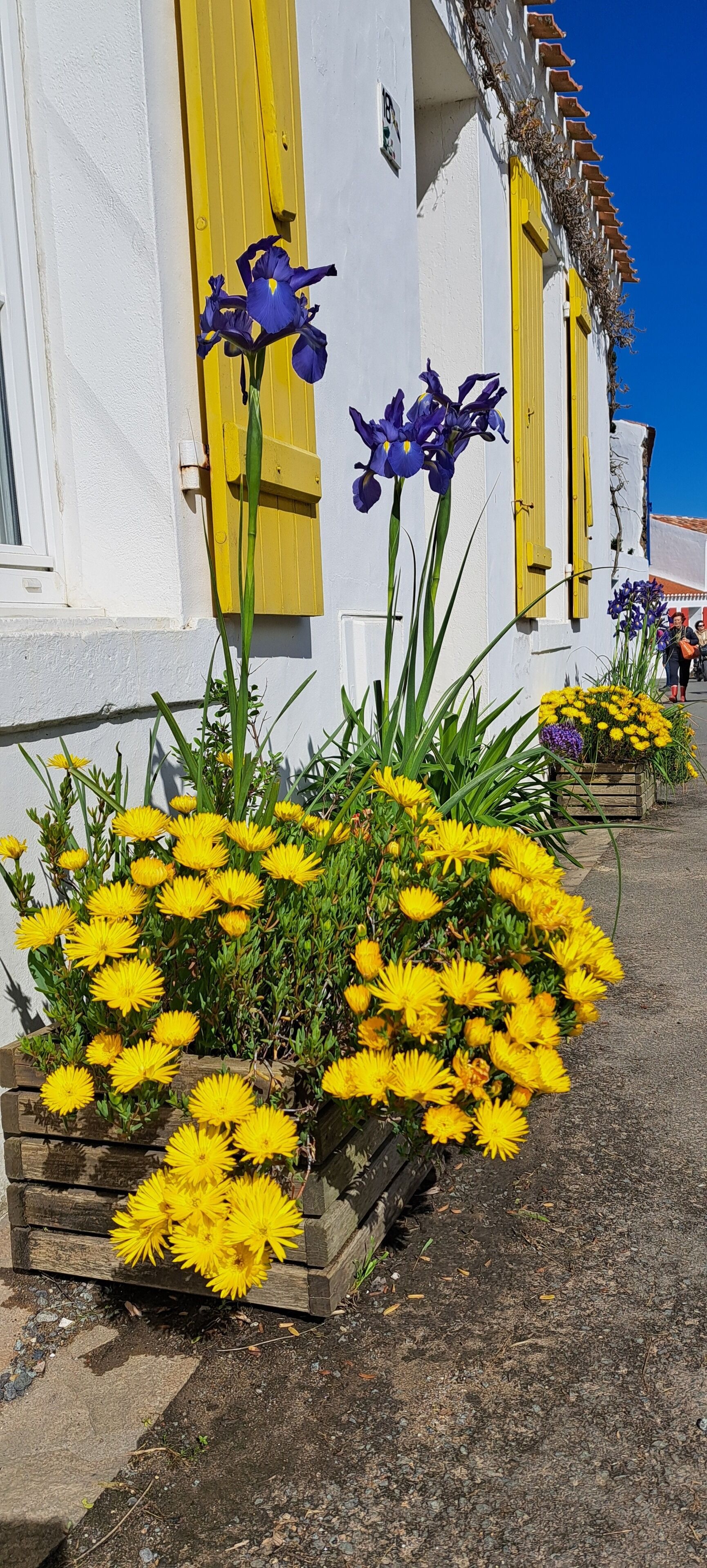 تفاصيل الفندق من الخارج