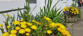 Charmigt hus av fiskare perfekt för familjesemestern