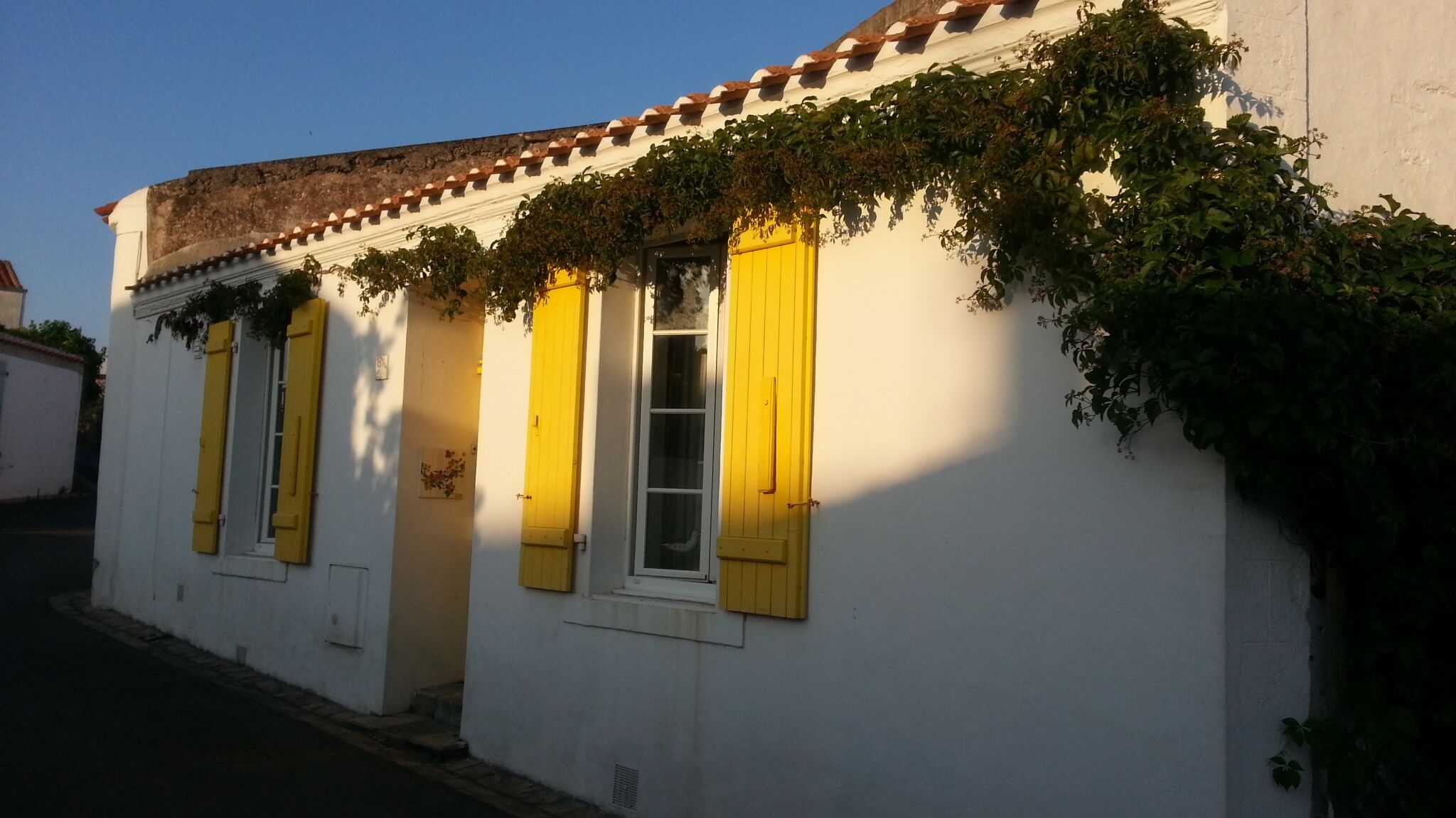 Un bâtiment aux murs blancs et aux volets jaunes, doté d’une petite porte et de fenêtres.