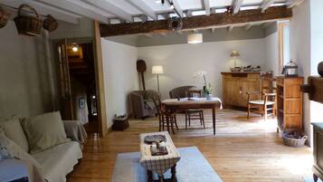 TV, fireplace, DVD player, books