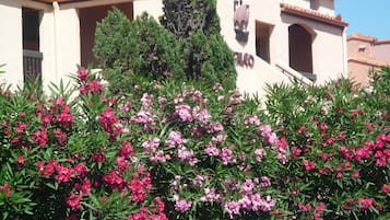 Detalle del exterior