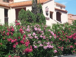 Details aan de buitenkant