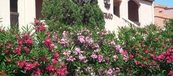 Apartment in quiet residence, overlooking the sea, 4 persons