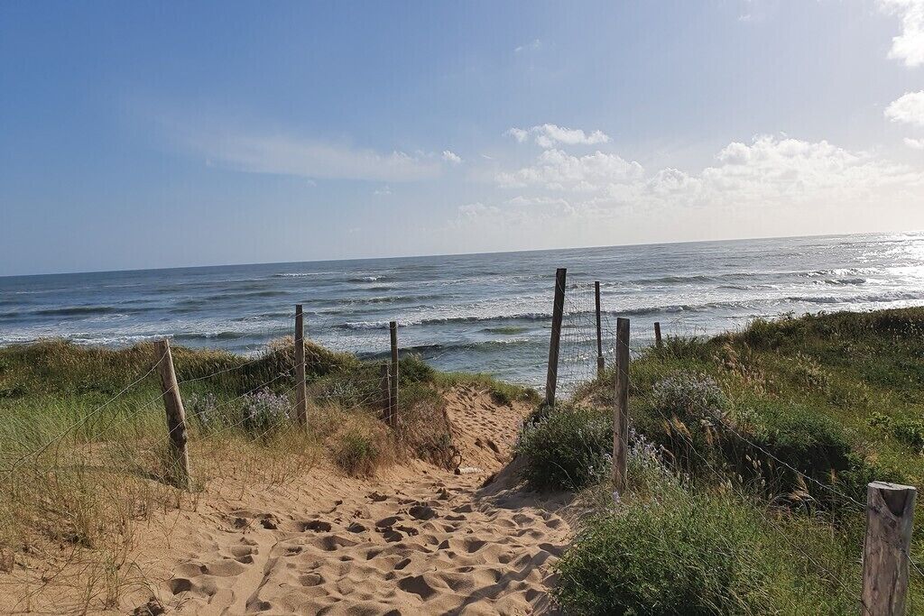 Un sentier de sable qui longe la plage et mène à l’océan, sous un ciel dégagé.