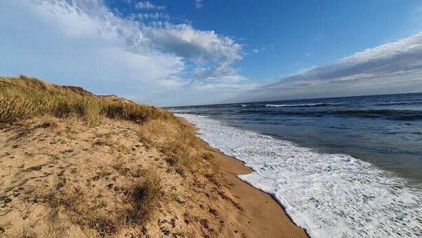 Une plage avec des dunes de sable et des vagues.