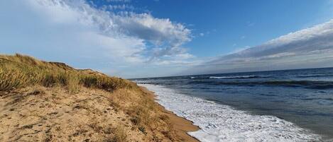 Plage, chaises longues