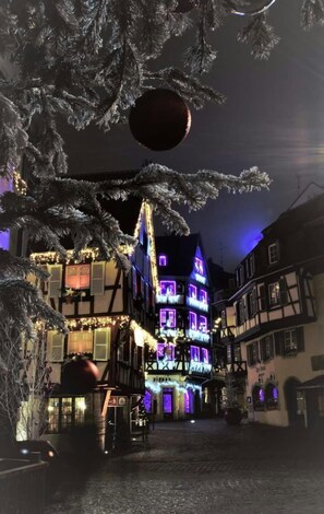 Exterior - Very bright gite, located at the edge of an orchard, in a quiet neighbourhood (Jebsheim)