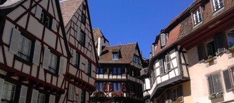 Very bright gite, located at the edge of an orchard, in a quiet neighbourhood