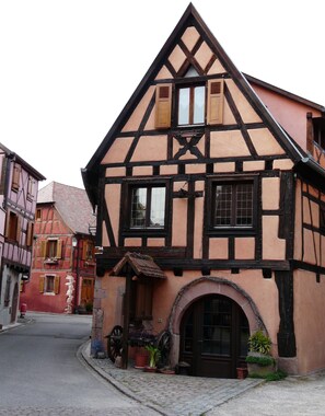 Exterior - Very bright gite, located at the edge of an orchard, in a quiet neighbourhood (Jebsheim)