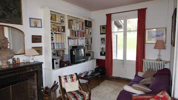 TV connectée, cheminée, lecteur de DVD, livres