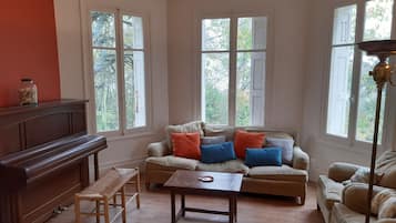 TV connectée, cheminée, lecteur de DVD, livres