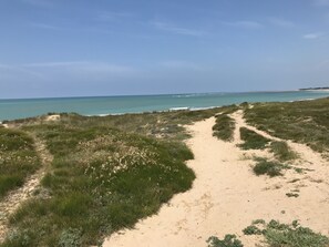 Una playa cerca