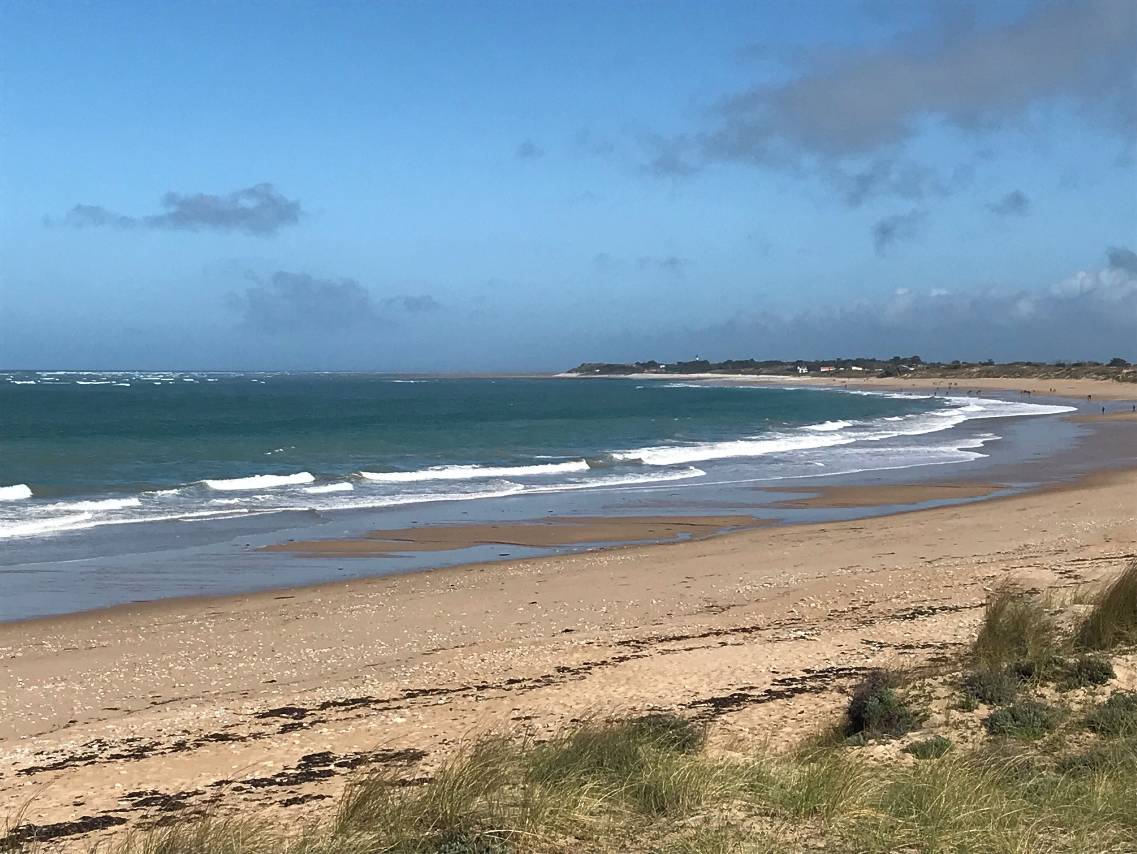 A beach with clear skies, waves, and distant buildings.