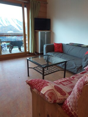 Televisión, reproductor de DVD y libros