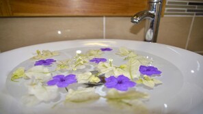 Asciugacapelli, asciugamani, sapone, carta igienica