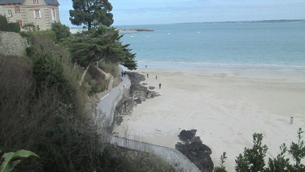 Ein Küstenstrand mit einem Steinweg, der zum Ufer führt, umgeben von Grünpflanzen und einem großen Baum.