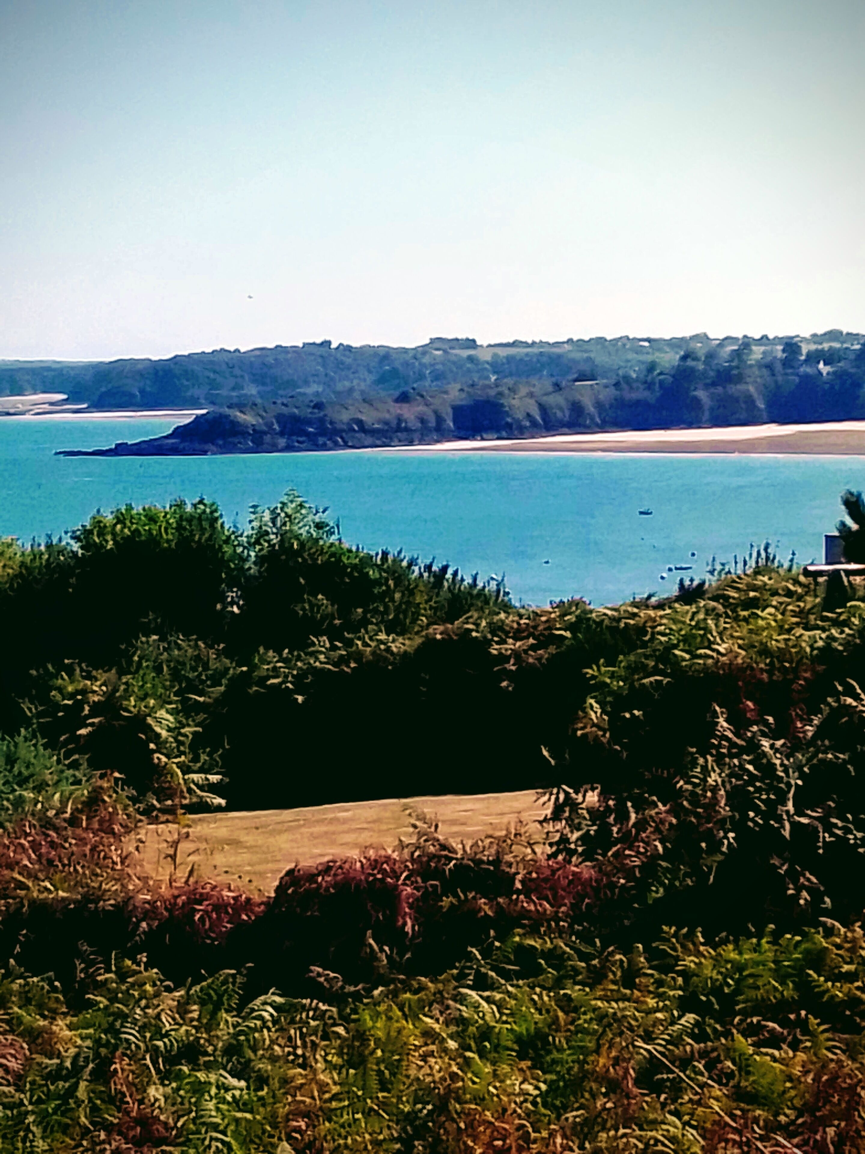 A coastal landscape with a beach, dense vegetation, and a clear sky.