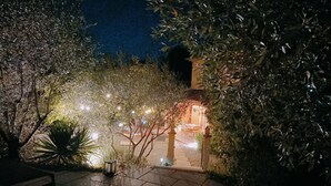 Un espace extérieur aménagé pour la nuit, avec une terrasse, des plantes en pot et l’entrée d’un bâtiment.