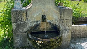 Une fontaine rustique en pierre, dotée d’un jet d’eau, entourée de verdure et sous un ciel dégagé.