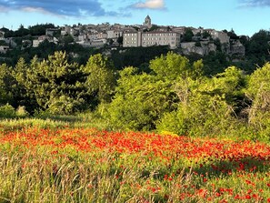 Un pueblo con edificios históricos en una colina, rodeado de vegetación y un campo de amapolas rojas.