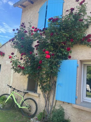 Détail de l’extérieur