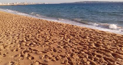 Beautiful Cannes Apartment