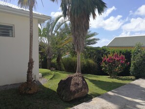 Property grounds - Comfortable villa, swimming pool, tropical garden, near beach st Anne, 8 pers (Sainte Anne)