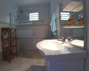 Shower, hair dryer, towels