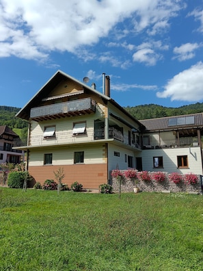 Esterni