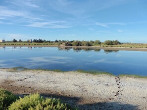 In Strandnähe