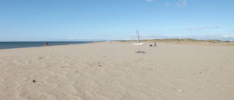 Nära stranden
