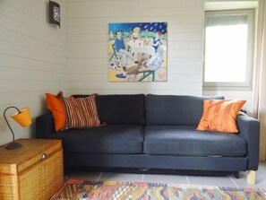 TV, fireplace, DVD player, books