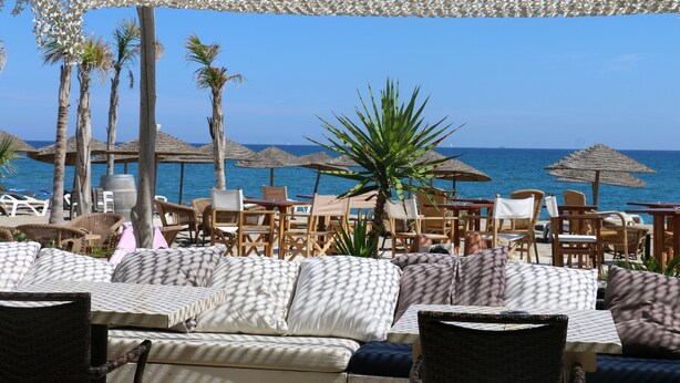 Un salón junto a la playa con asientos al aire libre, palmeras y vista al océano.