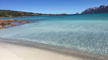 Tæt på stranden