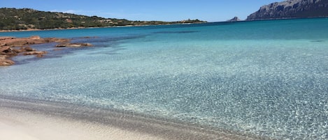 Vlak bij het strand