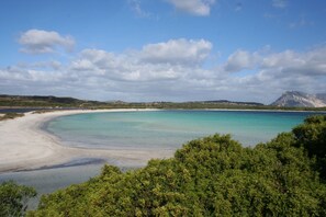 Vlak bij het strand