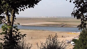 Een strand met een pier die het water in reikt, omringd door bomen.