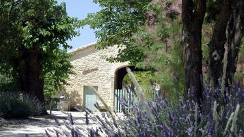 Terrein van de accommodatie