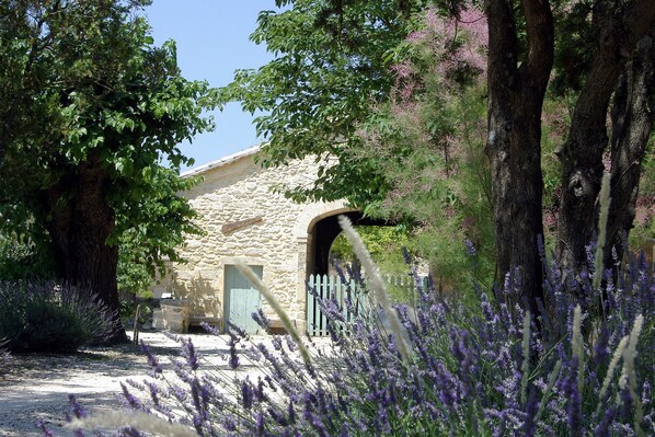A stone building with a rustic entrance, surrounded by trees and lavender plants.