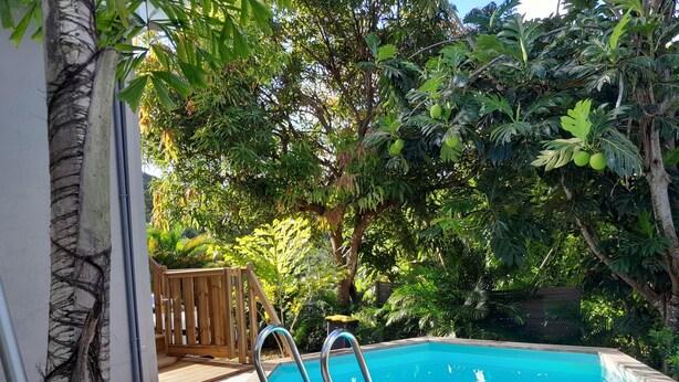 A swimming pool with wooden deck and lounge chairs, surrounded by lush greenery. - NEW SUITE COTTAGE F3 ANY COMFORT NEAR BEACH ANSE FIGUIER  (Rivière-Pilote)