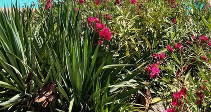 Belle maison , sur terrain 2500mÂČ avec piscine privĂ©e, 4 chambres, 8 couchages