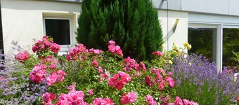 Ground floor in a large garden