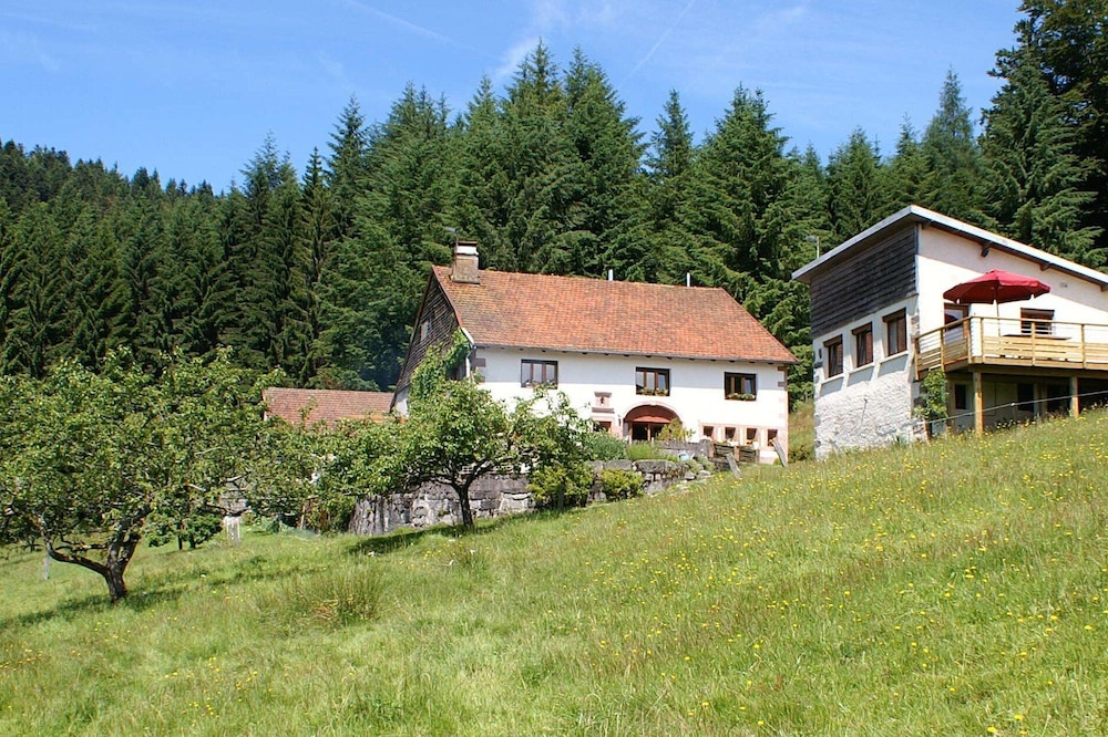 Quiet 3 * gîte on the edge of the forest, overlooking the Moselotte valley