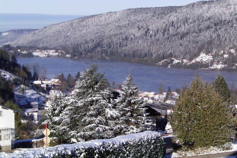 New and very sunny apartment with lake view - La perle vosgienne