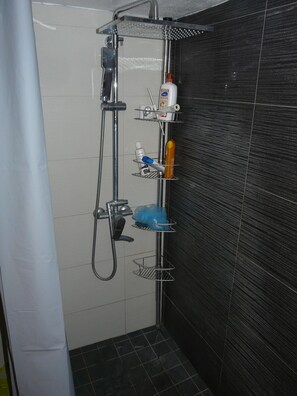 Chuveiro, secador de cabelo, toalhas de banho, papel higiênico