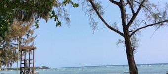 Charming apartment 50 metres from the beach 